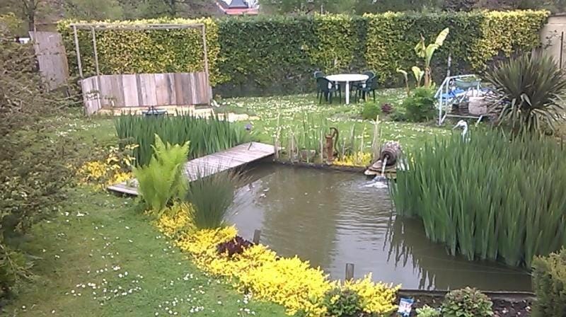 BBQ facilities, Garden