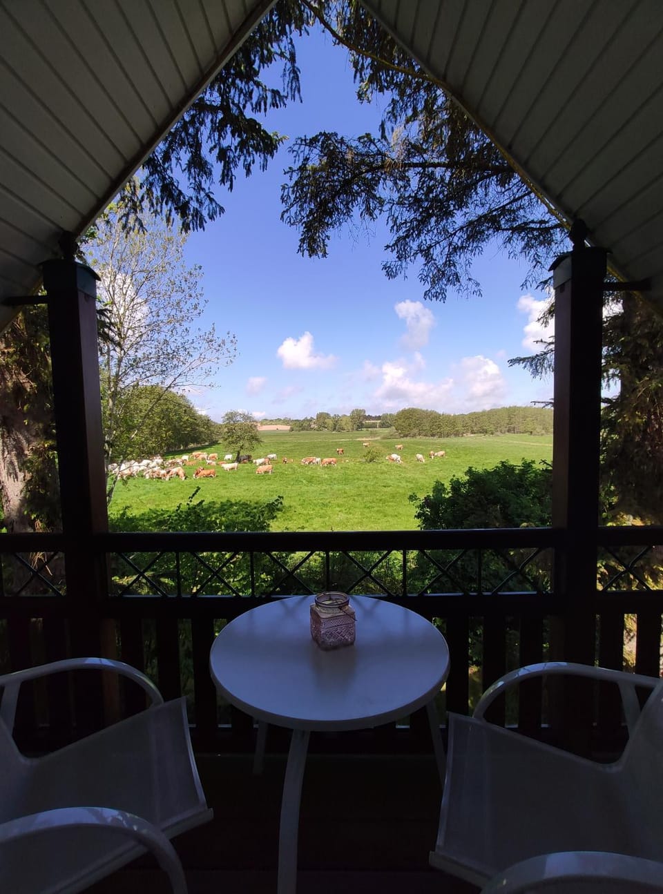 View (from property/room)