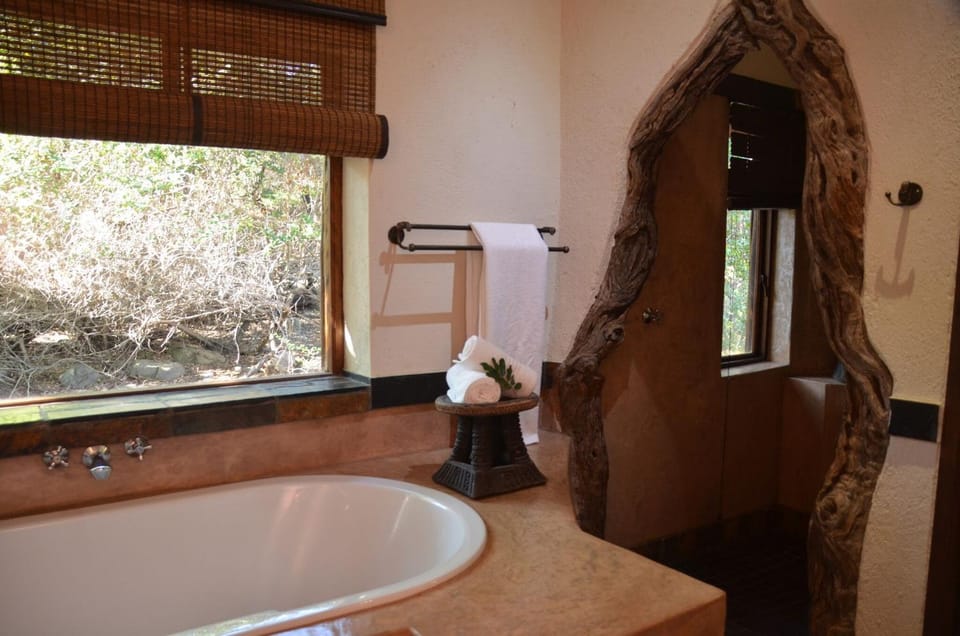 Moholoholo Forest Camp Nature lodge in South Africa