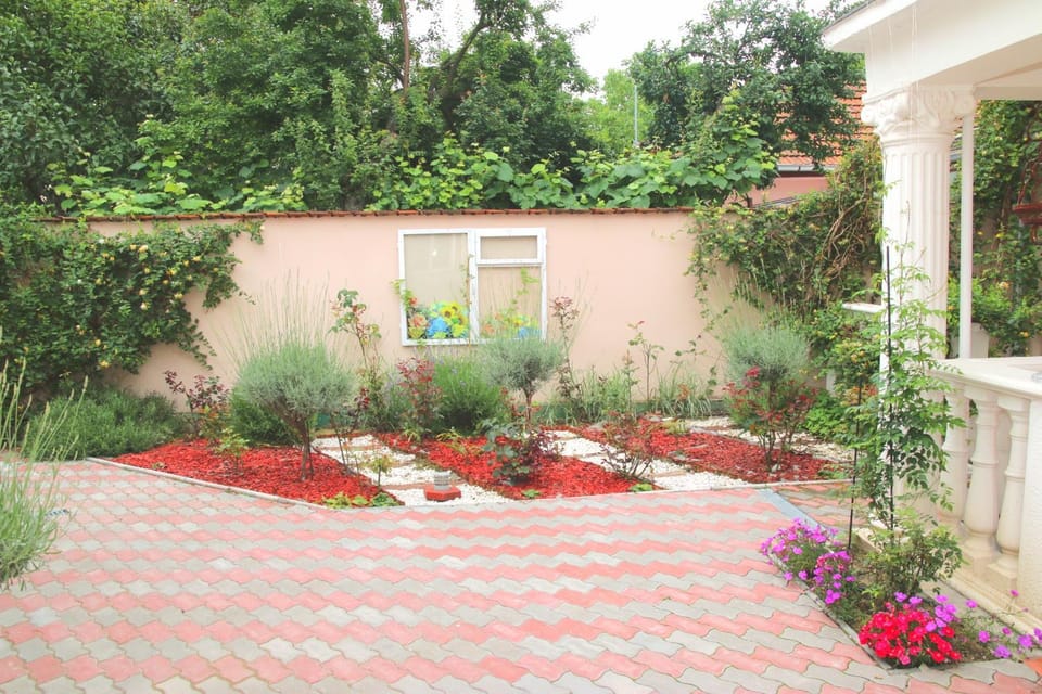 Patio, Garden view