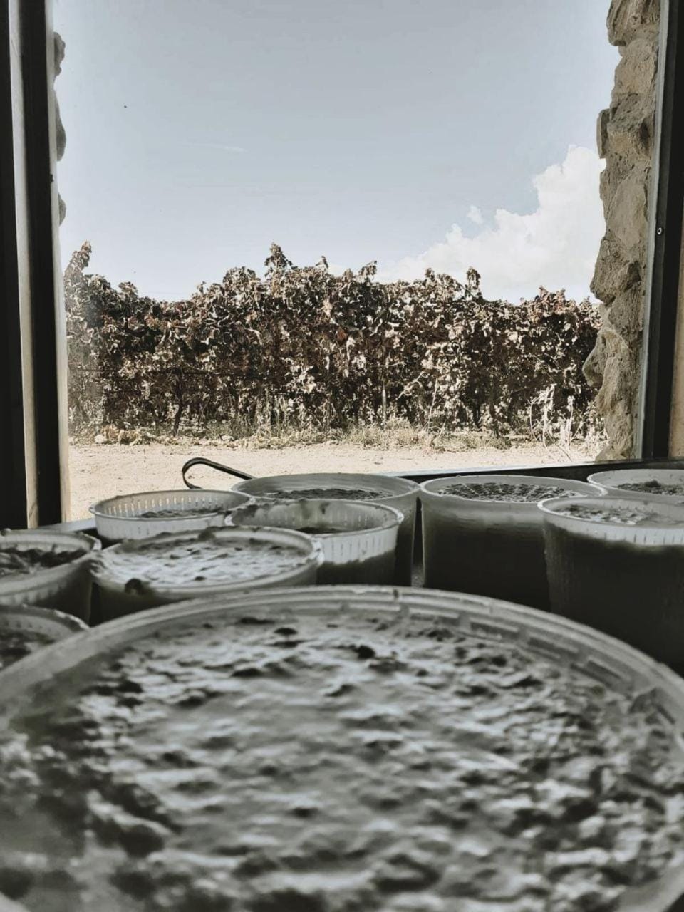 Activities, Food