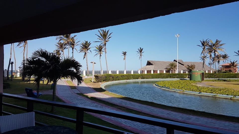 Patio, Garden, Garden view