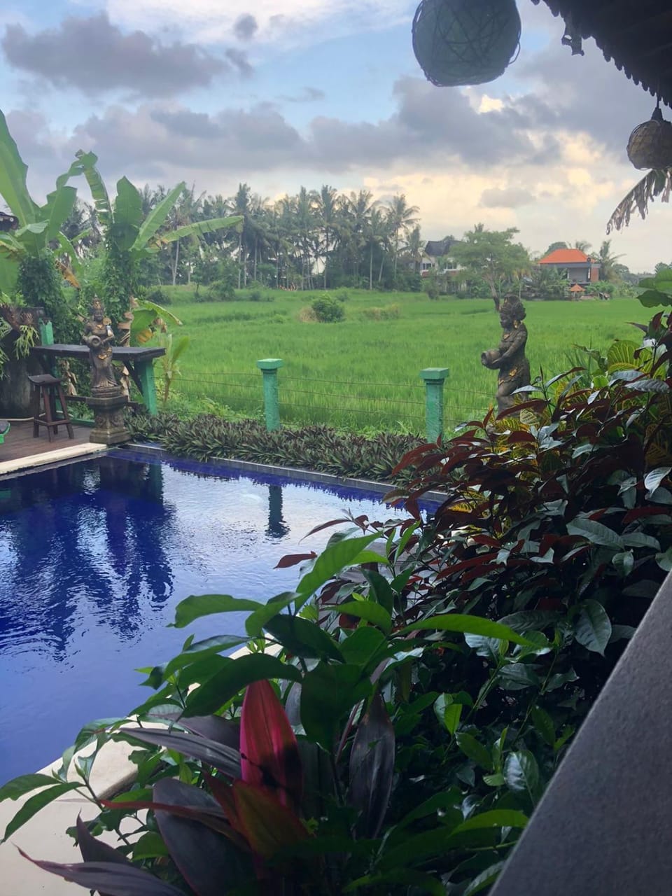Garden view, Pool view, Swimming pool
