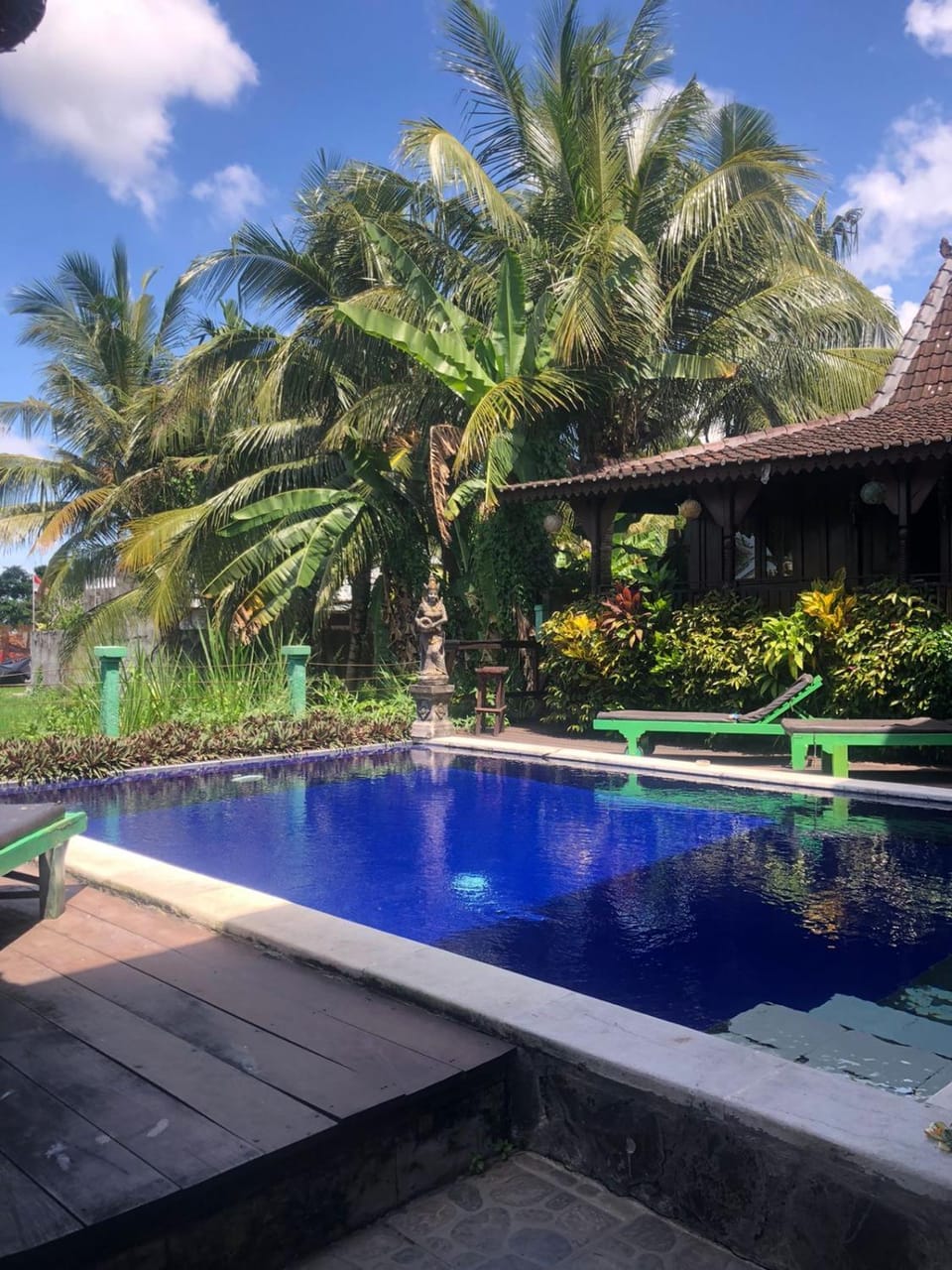 Garden, Garden view, Pool view, Swimming pool