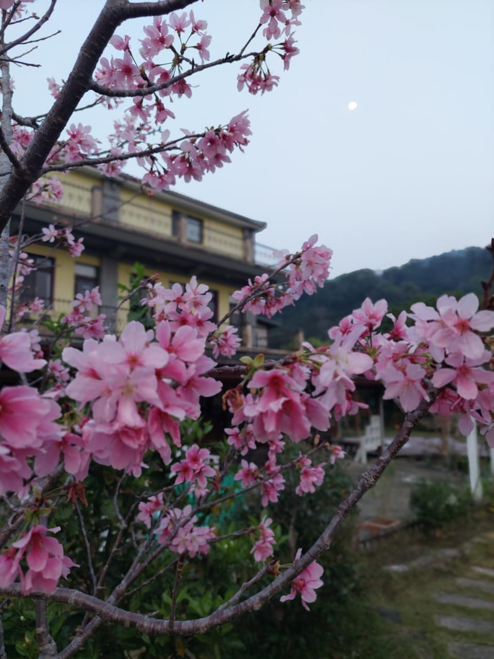 Fu Chuan Garden Bed and Breakfast in Taiwan, Province of China