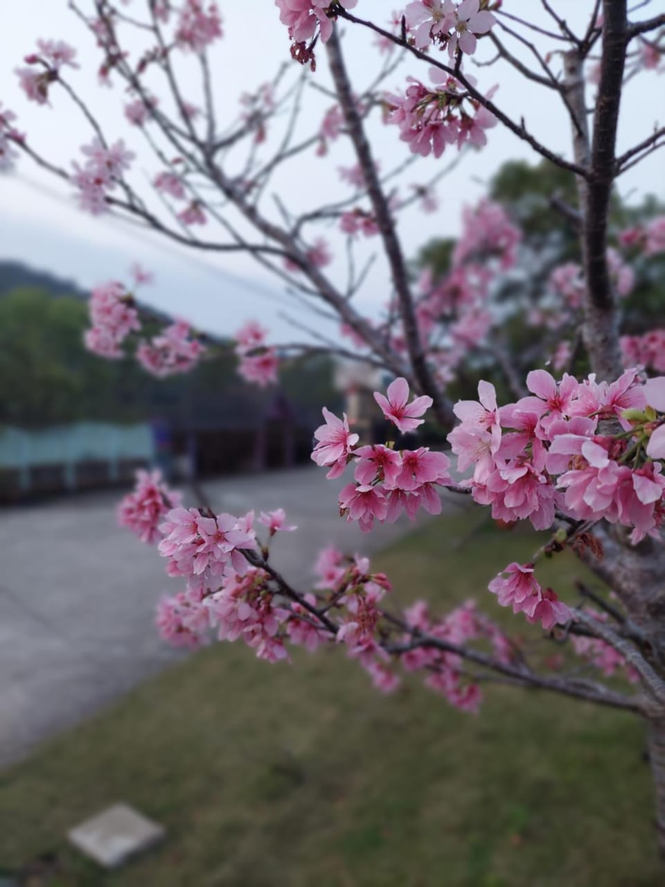 Fu Chuan Garden Bed and Breakfast in Taiwan, Province of China