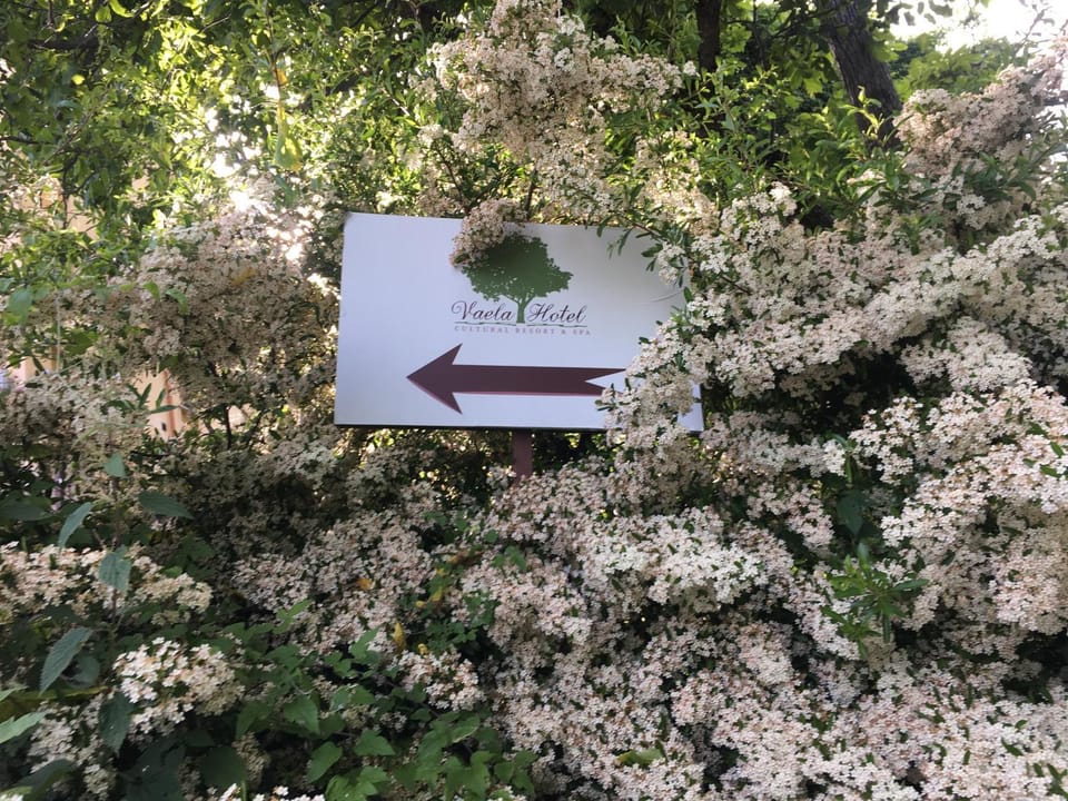 Spring, Natural landscape