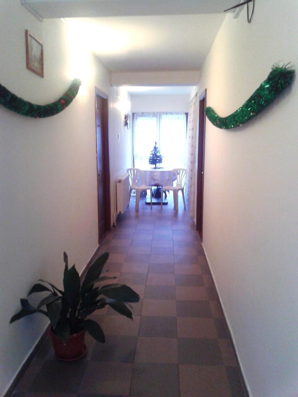 Pensiunea Pinul Negru Bed and Breakfast in Serbia