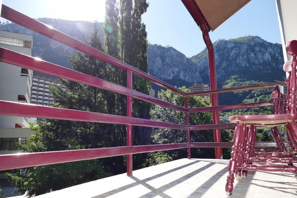 Pensiunea Pinul Negru Bed and Breakfast in Serbia