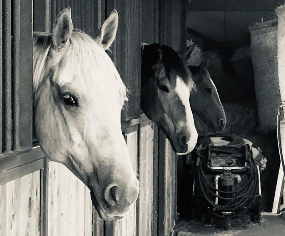 Horse-riding