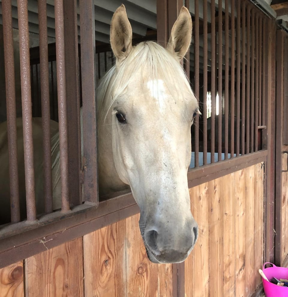Horse-riding