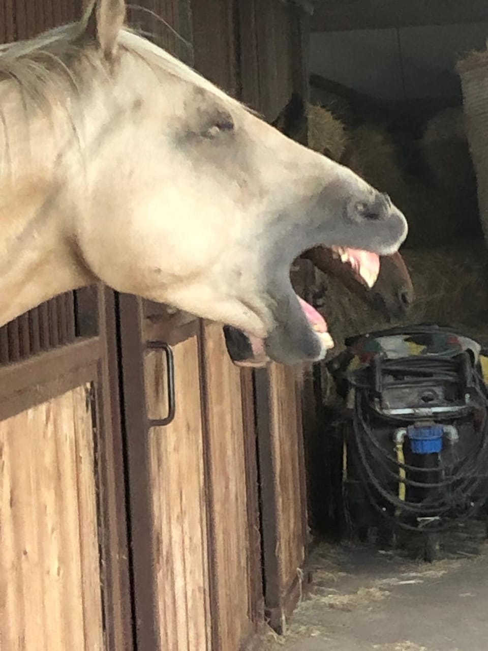 Horse-riding