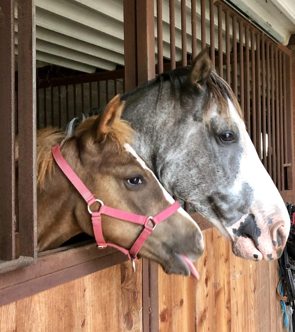 Horse-riding