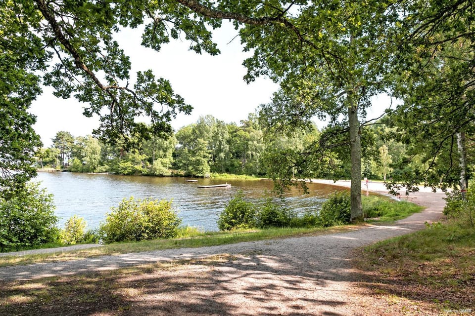 Lake view