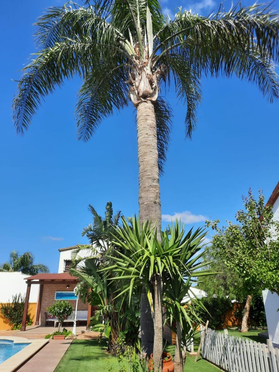 Chalet la Huerta con piscina y wifi no grupos House in La Janda