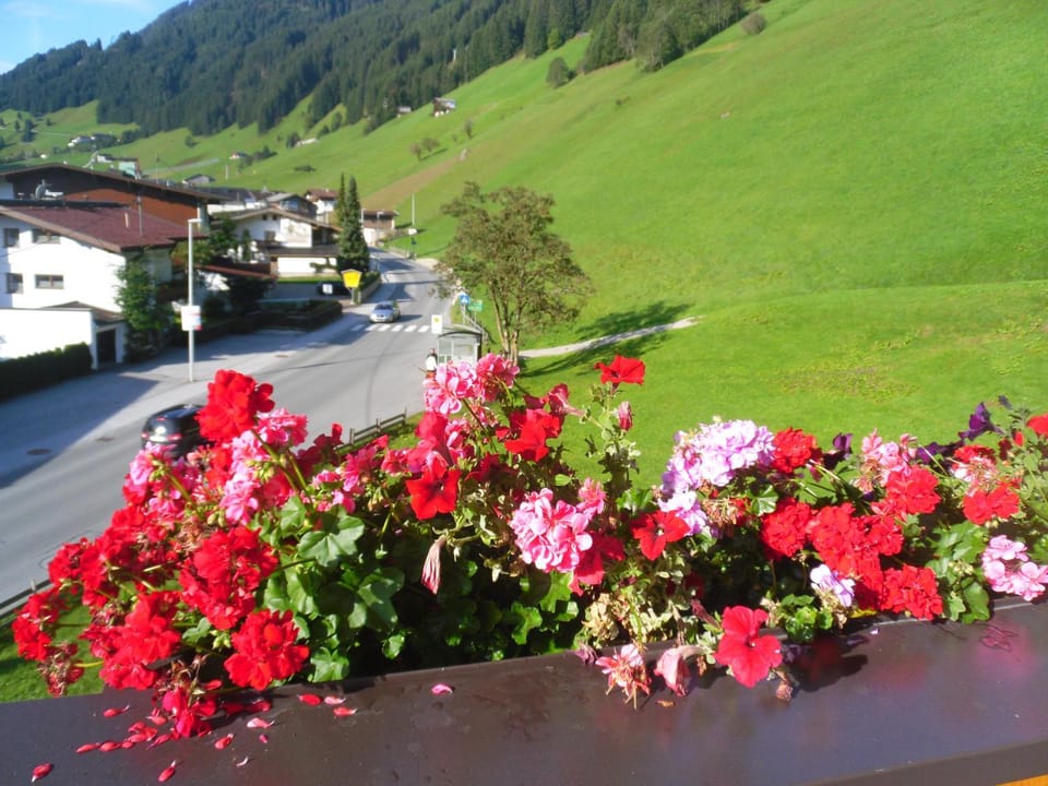 Day, Neighbourhood, Natural landscape, Balcony/Terrace, Autumn, On site