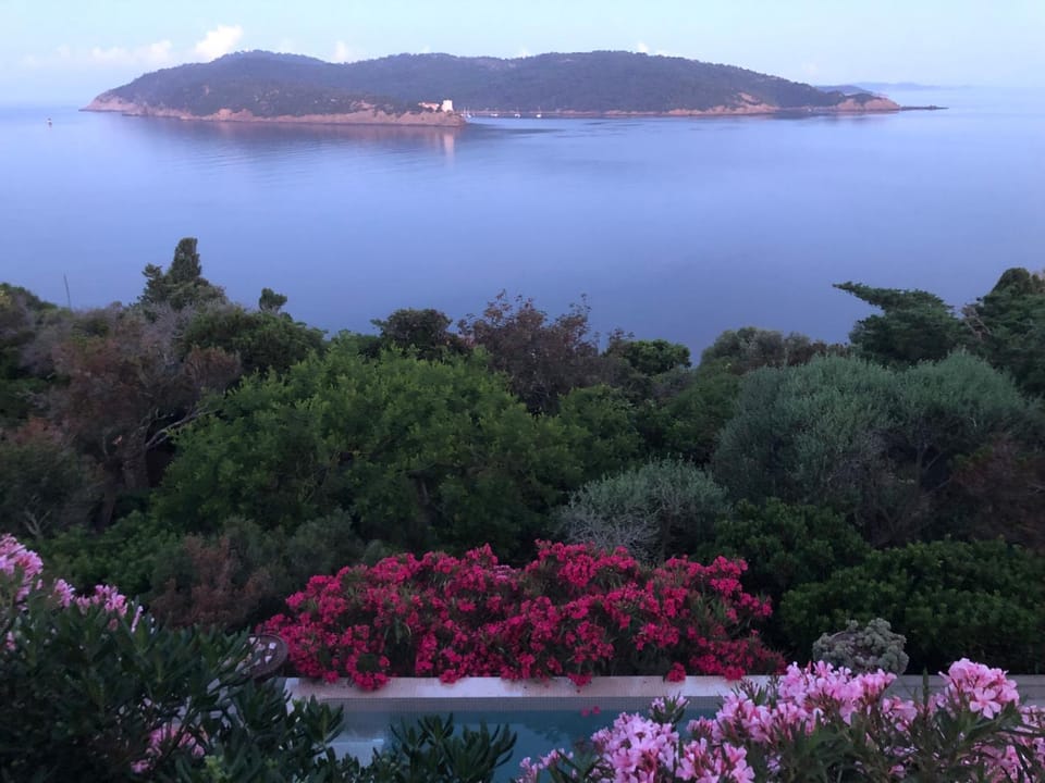 Pool view, Sea view