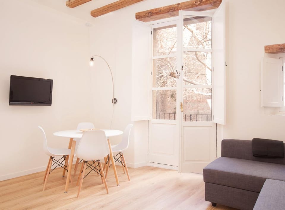 Alsina · Historical center - Barrio Gótico Apartment in Barcelona