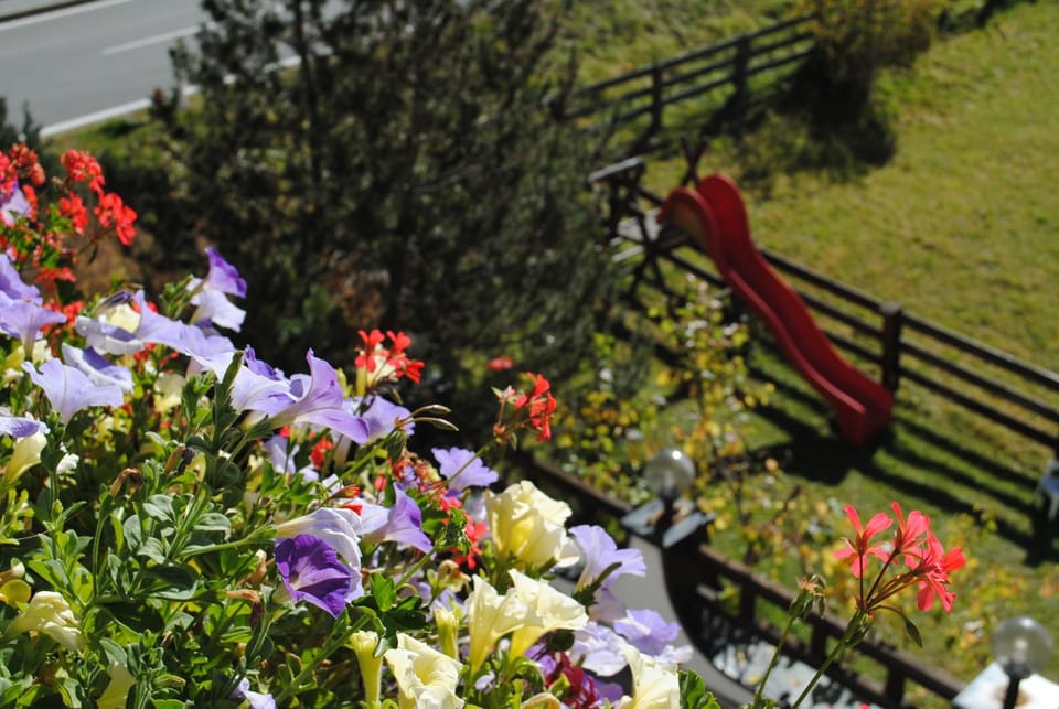 Garden, View (from property/room)