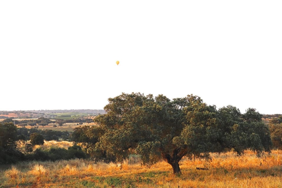 Herdade da Yucca - Retreat & Spa Farm Stay in Évora District, Portugal