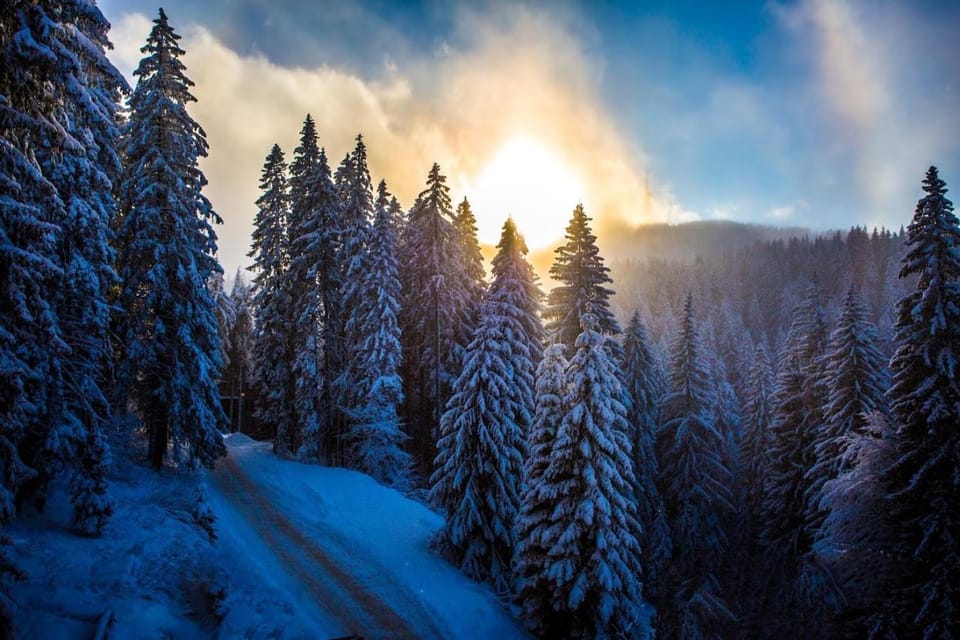 Sunny Hills Ski&Wellness Apartment hotel in Bulgaria