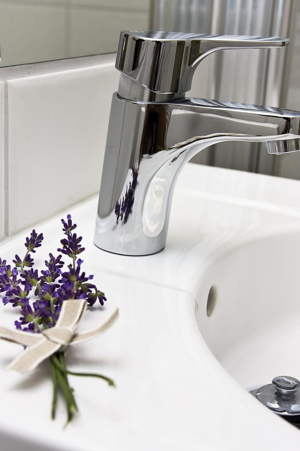 Toilet, Other