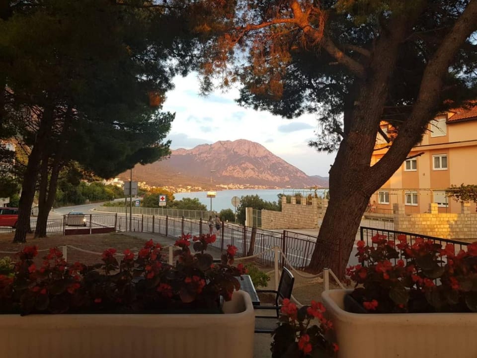 Sea view