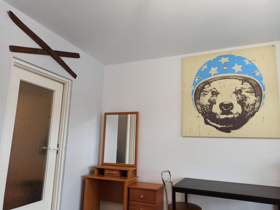 Apartament przy Stoku Apartment in Lesser Poland Voivodeship