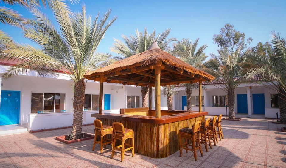 Lounge or bar