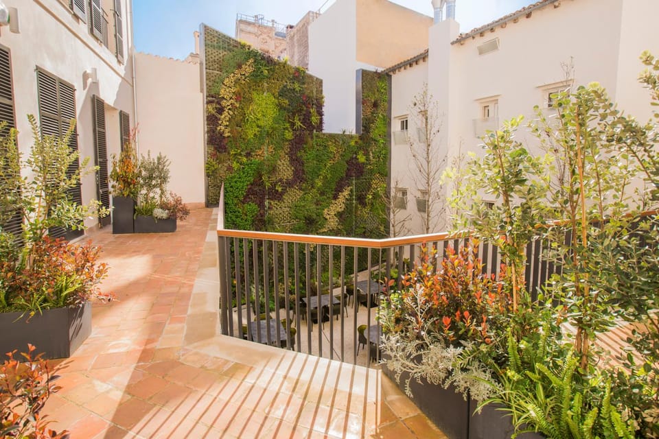 Garden, Garden view, Area and facilities