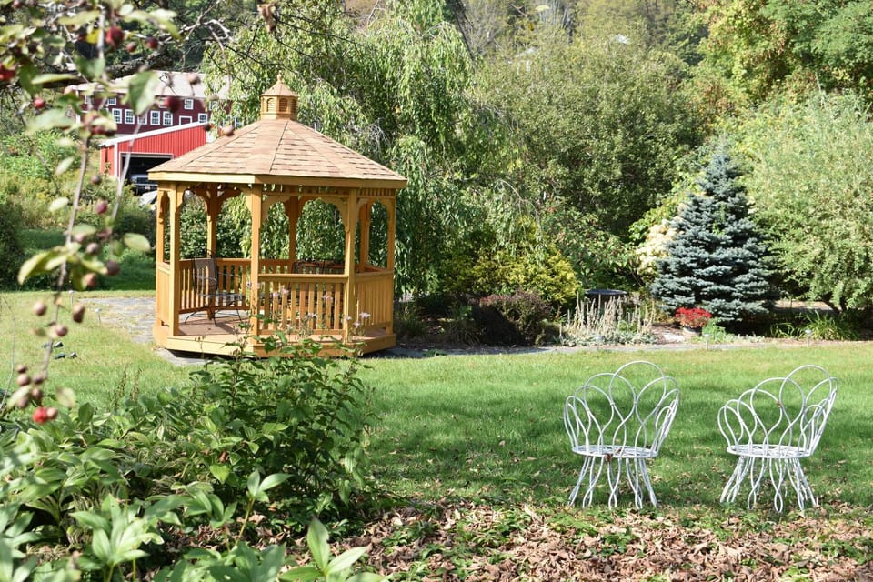 Day, Natural landscape, Garden view