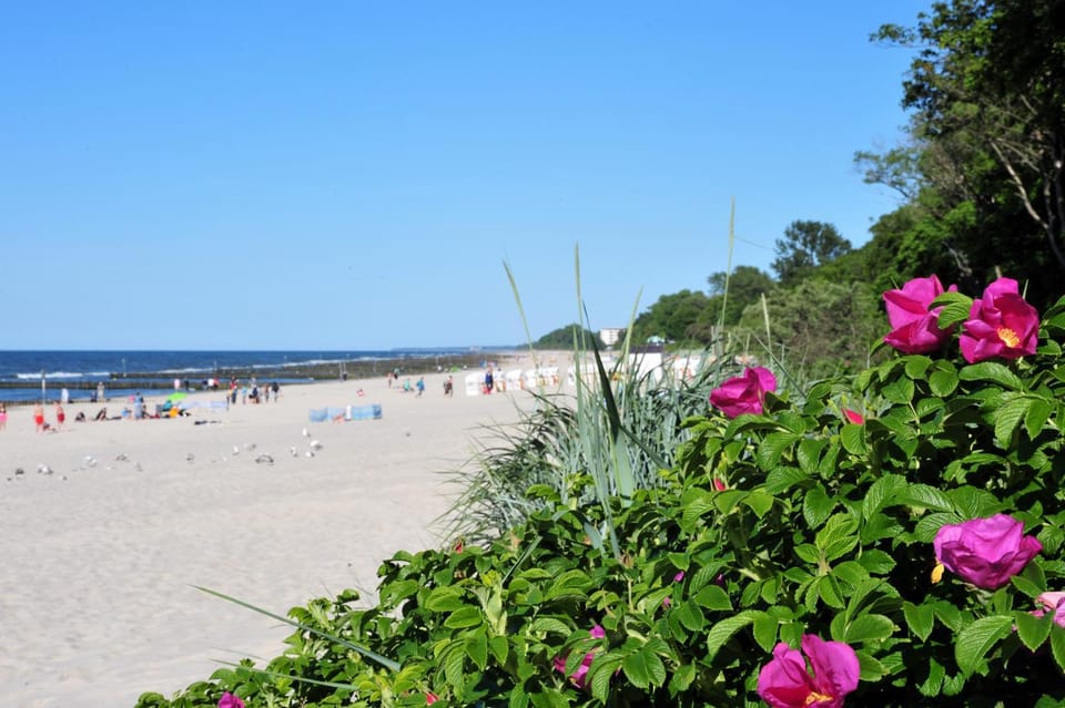 Off site, Day, Summer, Beach, Sea view