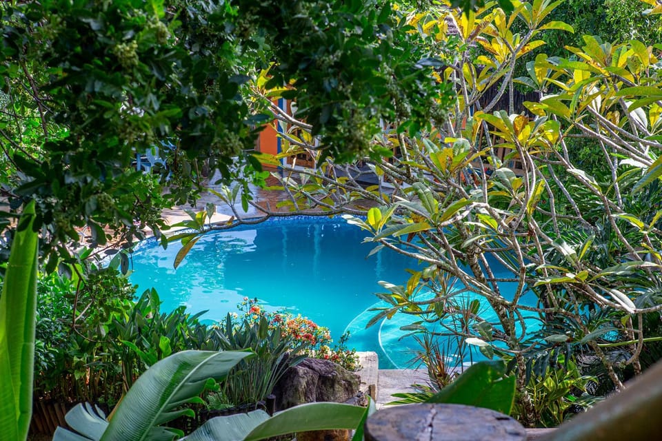 Pool view, Swimming pool