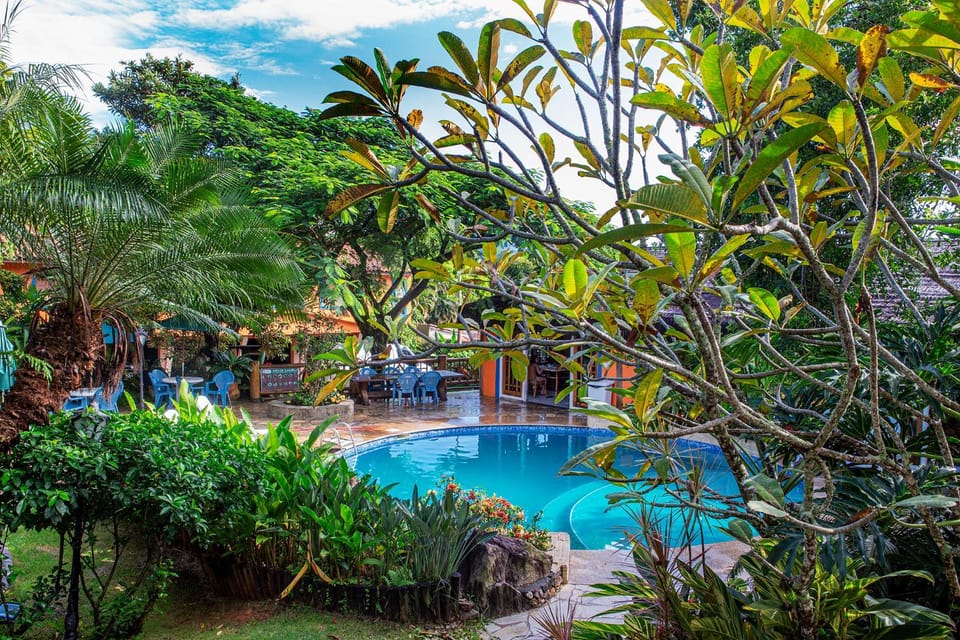 Natural landscape, Garden, Garden view