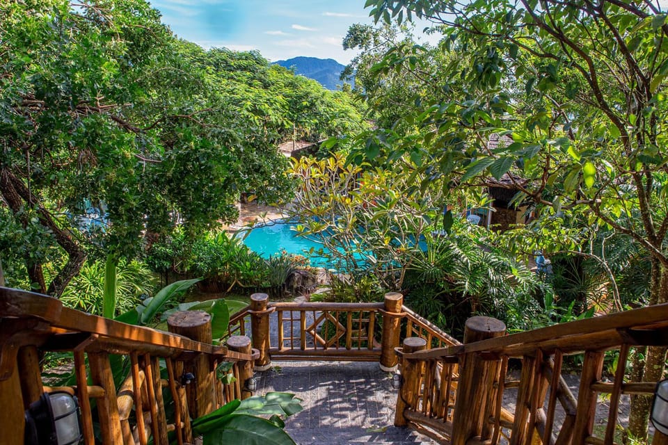 Natural landscape, Garden, Pool view