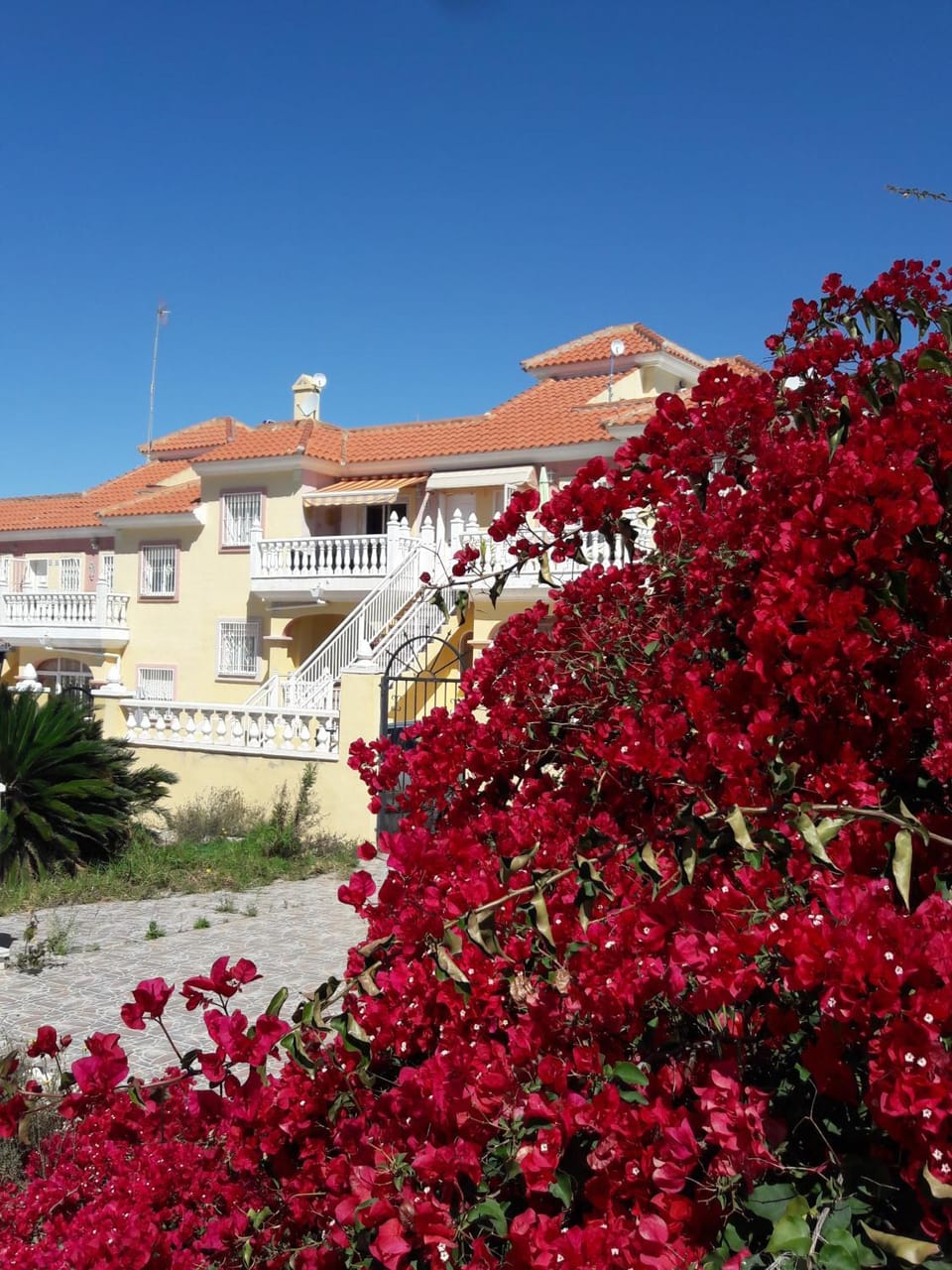 Carolinas aptmt Orihuela Apartment in Vega Baja del Segura