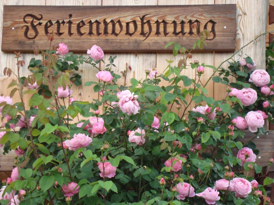 Ferienwohnung Regina Holzner Apartment in Berchtesgadener Land