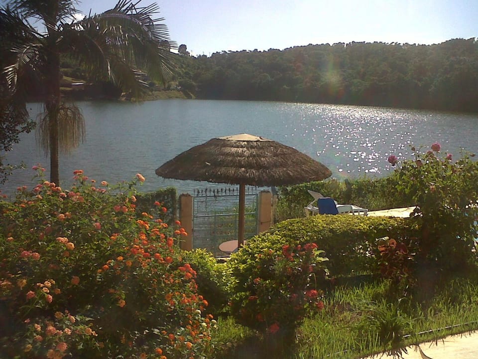 Natural landscape, Garden, Lake view, Sunrise
