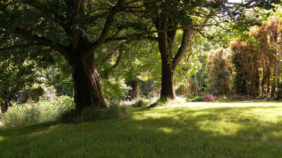 Garden, Garden