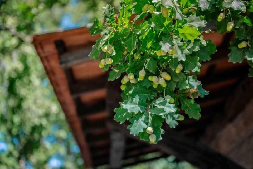 Quinta Vale de Frades Country House in Porto District