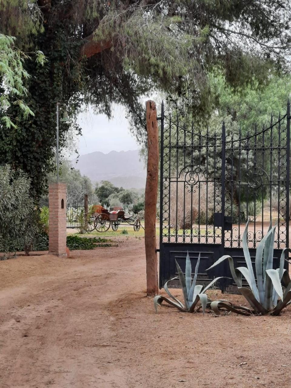 El Solar De Los Olivos Inn in La Rioja Province, Argentina