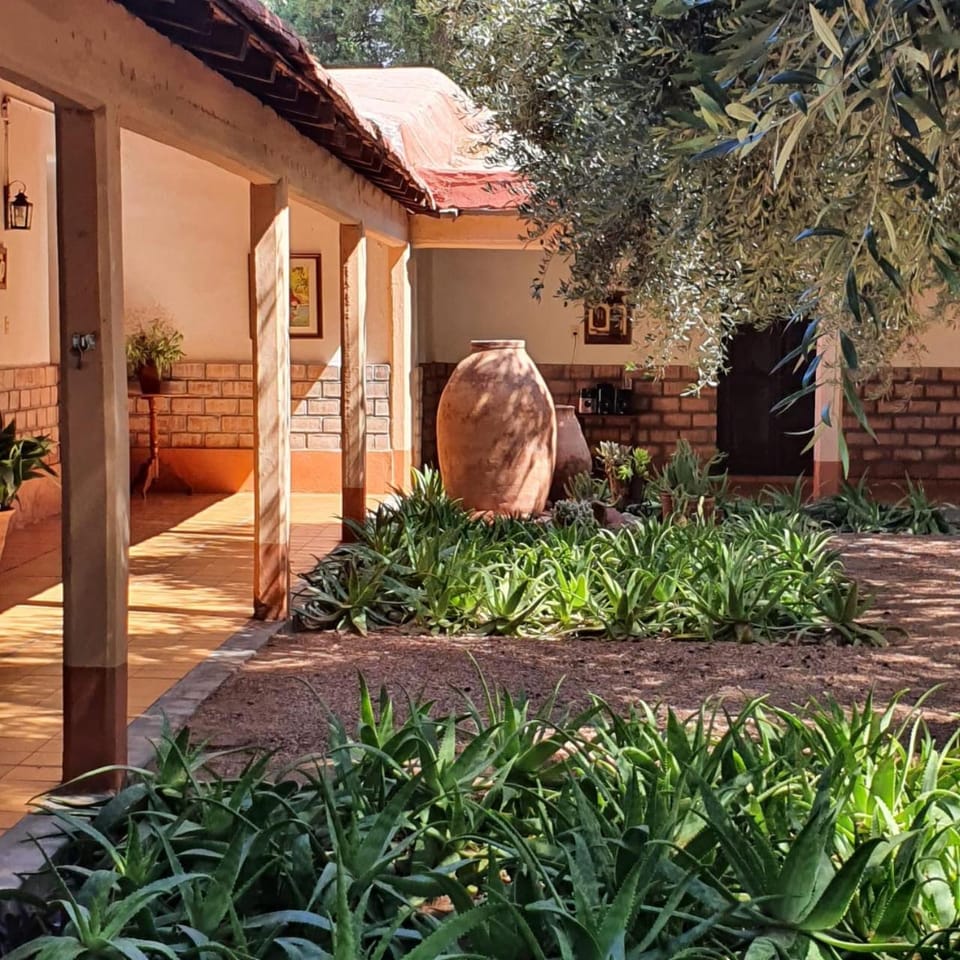 El Solar De Los Olivos Inn in La Rioja Province, Argentina