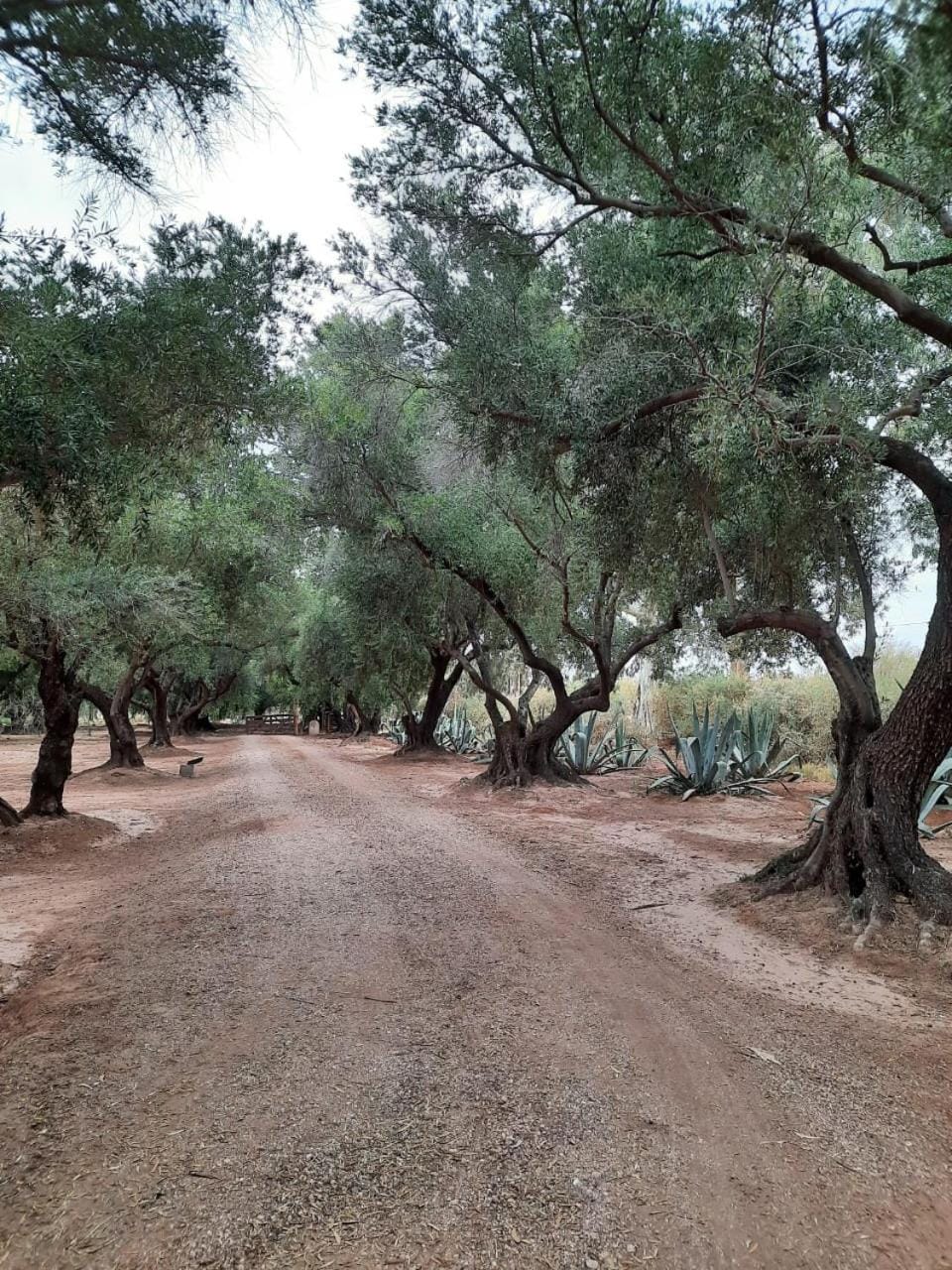 Natural landscape