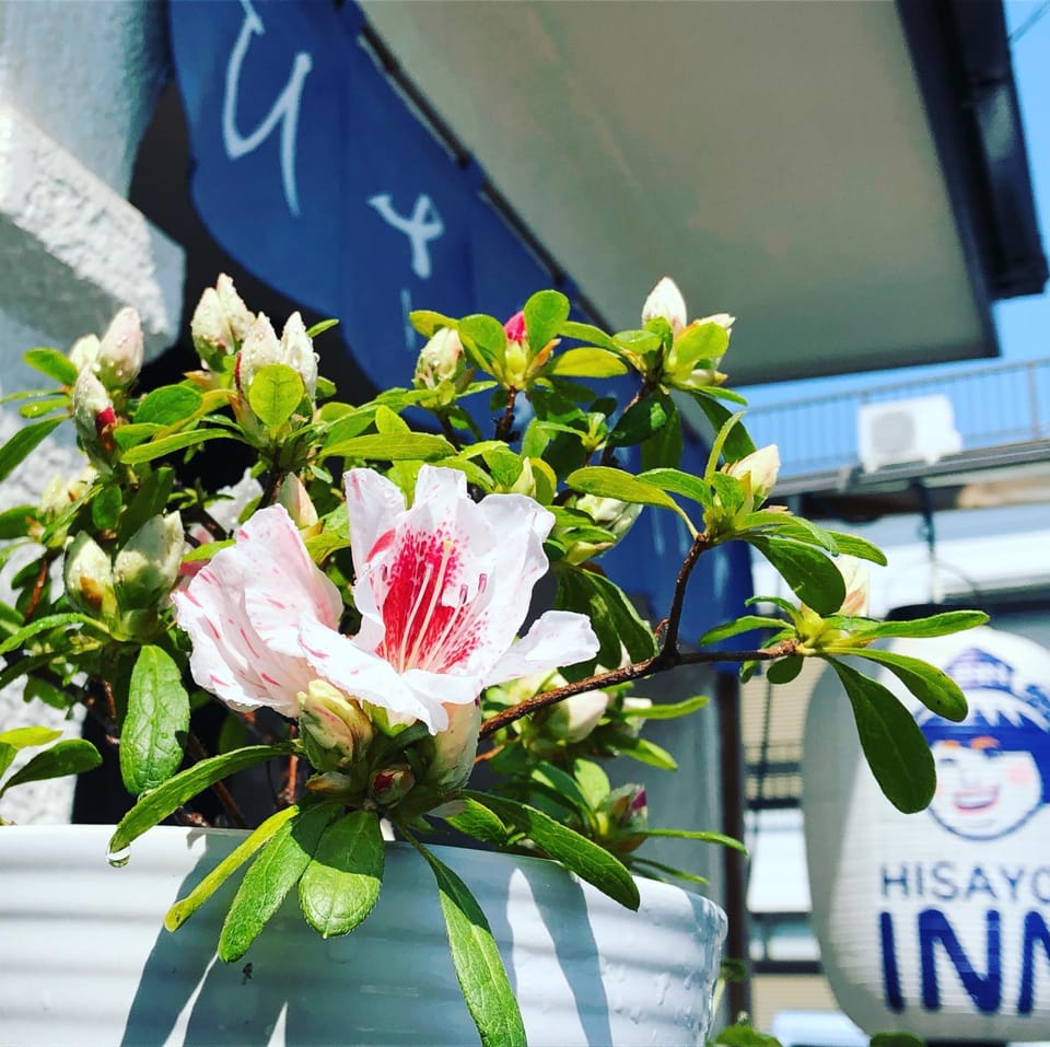 HISAYO'S INN Bed and Breakfast in Kanagawa Prefecture