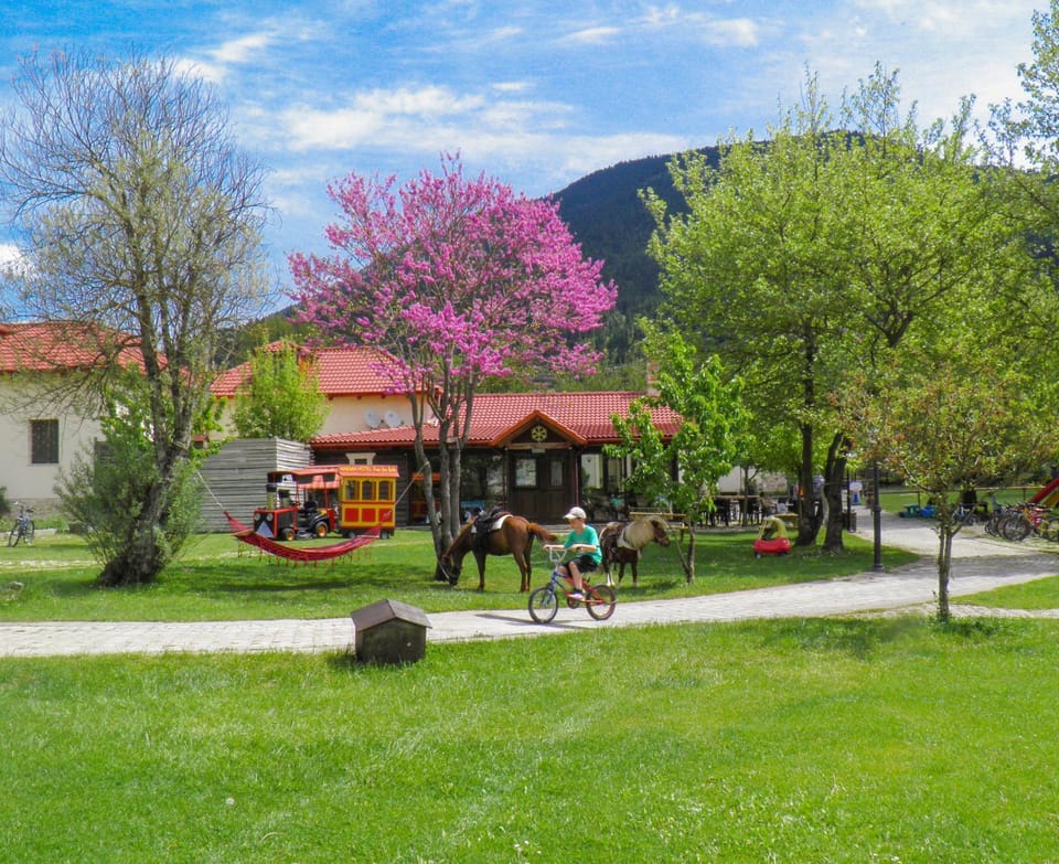 Spring, Natural landscape, Activities, Garden, Horse-riding, Entertainment, young children, older children