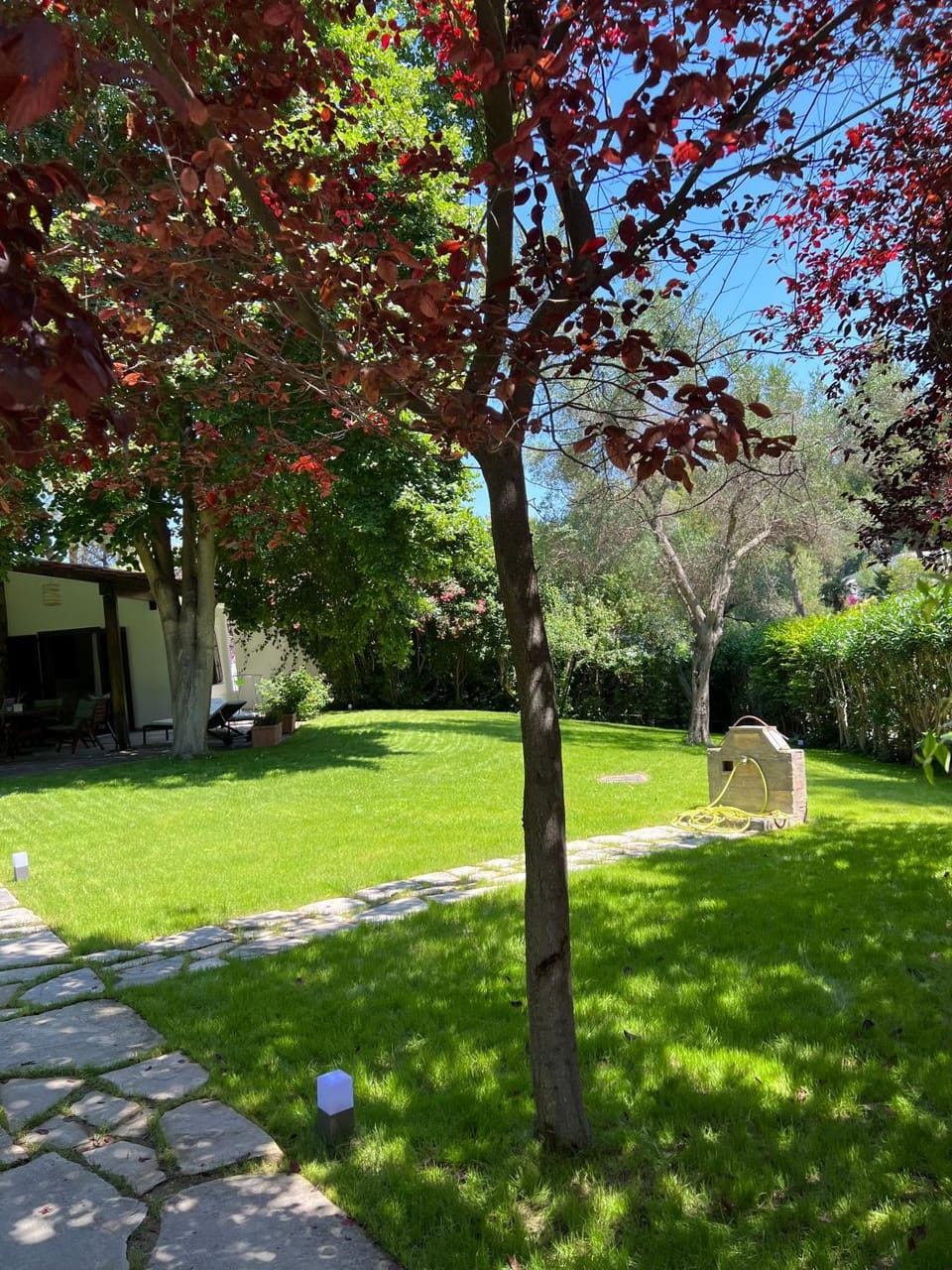 Villa Diomedes Villa in Halkidiki