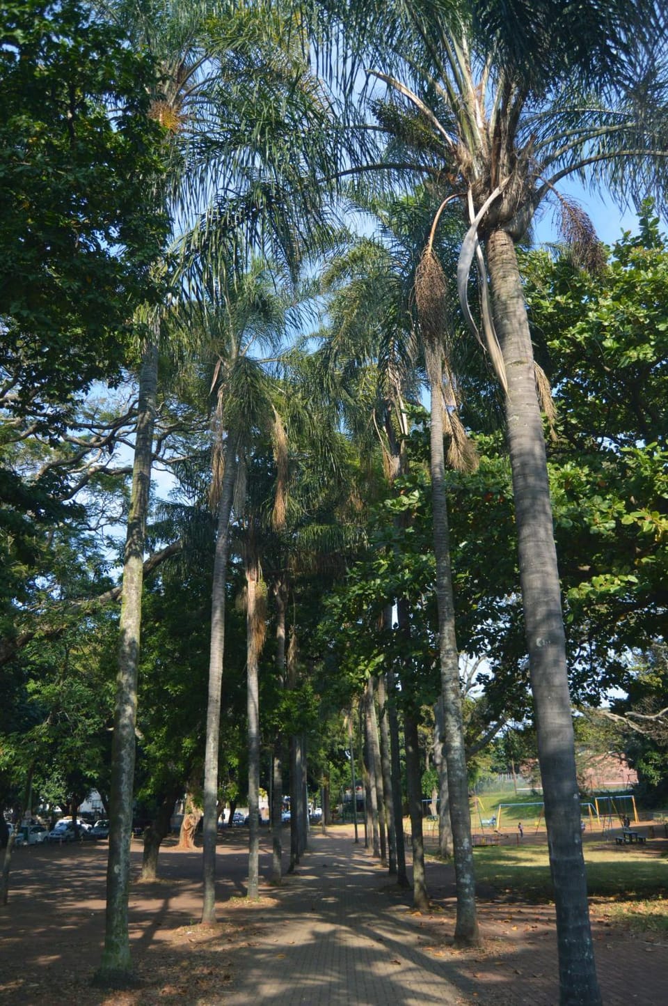 Natural landscape