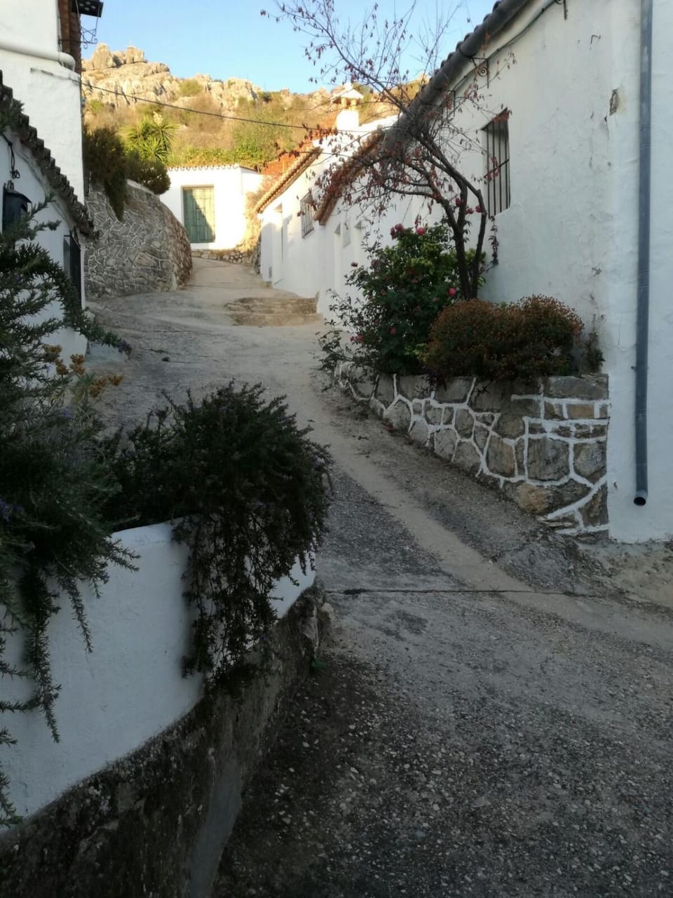 Neighbourhood
