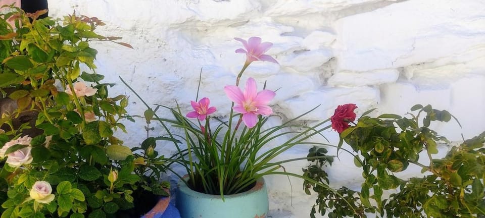La Maestra House in Alpujarra Granadina