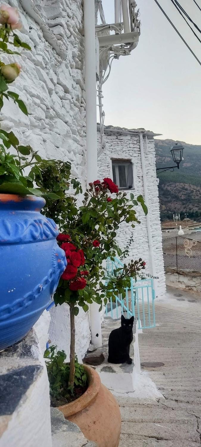 La Maestra House in Alpujarra Granadina